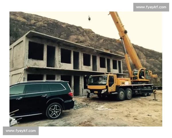 国外高效伐木:技术如何做到省时省力? 国外高效伐木:技术如何做到省时省力?